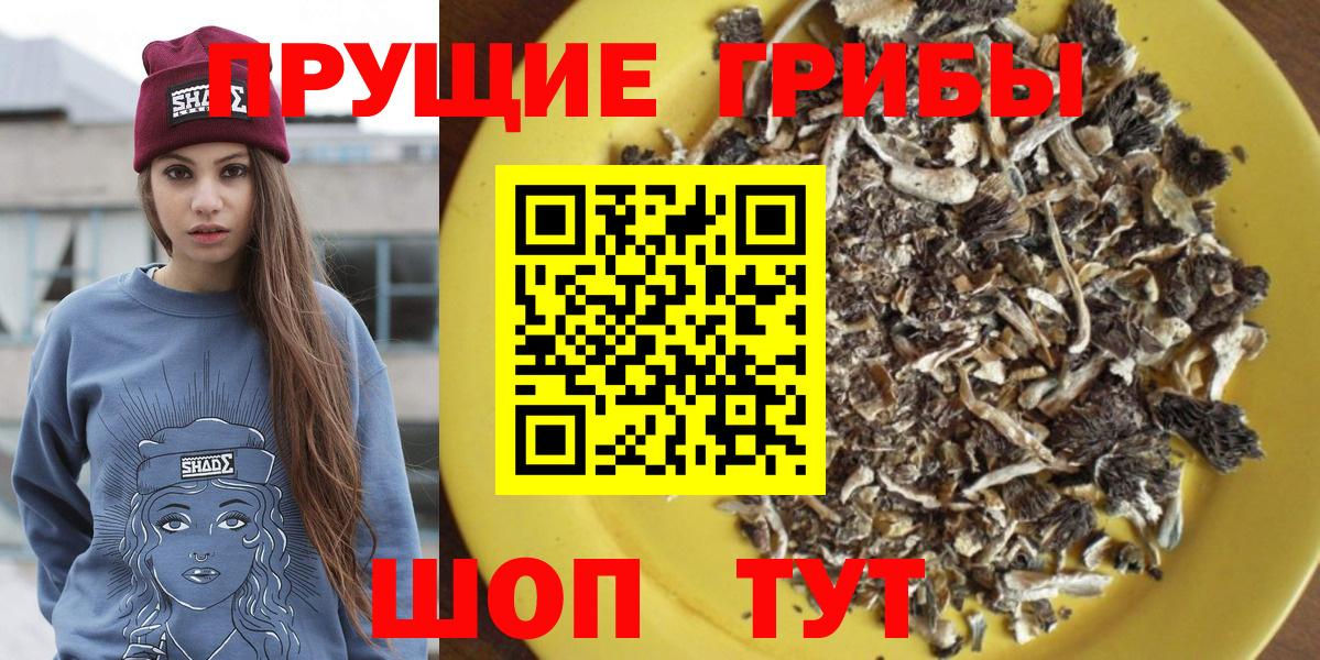 Камышлов  Псилоцибиновые грибы Magic Shrooms  Галлюциногенные грибы прущие грибы  Вход с VPN 