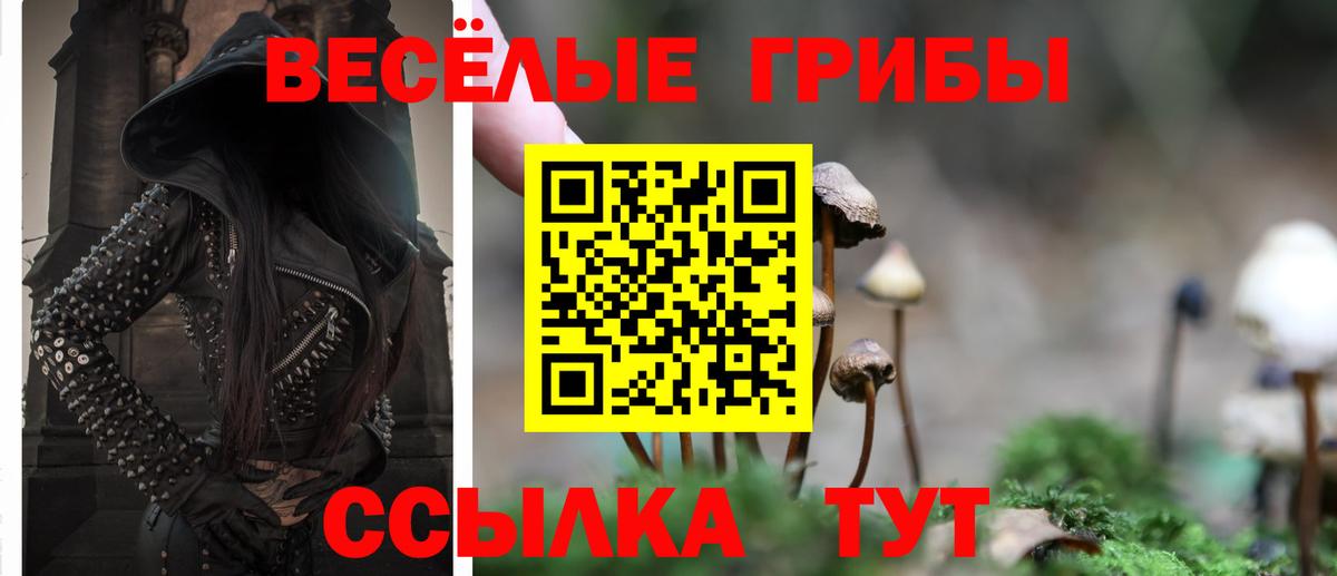 Псилоцибиновые грибы мухоморы Камышлов